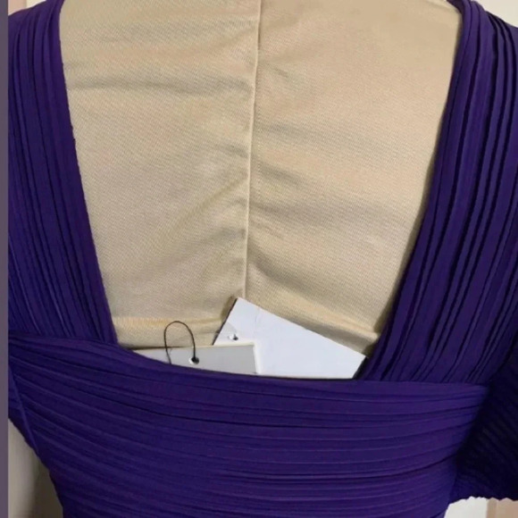 A.L.C. NWT Sorrento Accordion Pleated Midi Dress - Picture 9 of 10